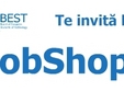 jobshop 2013 brasov anulat