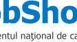 jobshop la timisoara 20 25 martie 2010