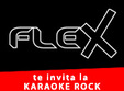 karaoke rock in club flex arad
