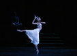 poze la bayadere spectacol legendar de balet in direct la grand cinema digiplex