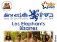 les elephants bizarres 