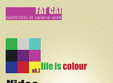 life is colour la fat cat din bucuresti