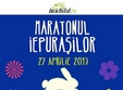 maratonul iepurasilor la bucuresti