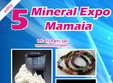 mineral expo 2015 editie aniversara la mamaia 