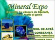 mineral expo constan a 2018