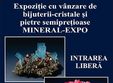 mineral expo mamaia 2014 masoara frumuse ea cu o geoda de peste