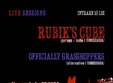 officially grasshoppers si rubik s cube live in timisoara