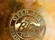 open air blues festival brezoi 2024