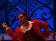 poze opera barbierul din sevilla timisoara