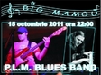 p l m blues band in big mamou