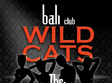 party wild cats