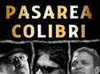 pasarea colibri la club phoenix