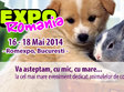 pet expo 2014 la bucuresti