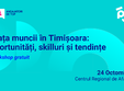 piata muncii in timisoara oportunitati skilluri si tendinte
