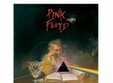 pink floyd night la cool cat