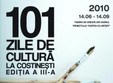 proiect 101 zile de cultura la costinesti