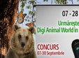 proiectii documentare digi animal world la bucuresti