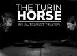 projection the turin horse flying circus lounge