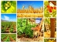 provocarile sectorului agricol roman dezbatute intr o noua editie a romanian agribusiness conference