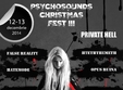 psychosounds christmas fest 2014 in private hell