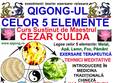 qigong ul celor 5 elemente