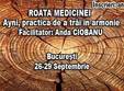 roata medicinei medicina traditionala incasa