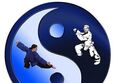 curs de tai chi chen taijiquan chen pentru incepatori