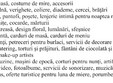 poze salonul mirilor