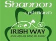seara irlandeza cu shannon si irish way la clubul taranului din bucuresti