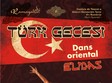 seara turceasca turk gecesi