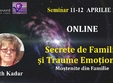 seminar online secrete de familie i traume emo ionale mo tenite