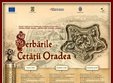 serbarile cetatii oradea