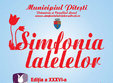 simfonia lalelelor 2013