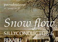 snow flow la patrudouazeci