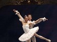 spectacol de balet clasic si modern la brasov