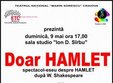 spectacol doar hamlet la teatrul national marin sorescu