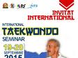 stagiul international de taekwon do sibiu 2015
