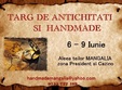 targ de antichita i i handmade mangalia