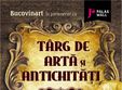 targ de arta i antichita i in week end la palas mall