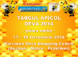 targul apicol deva 2014 17 19 octombrie 2014