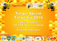 targul apicol targu jiu 2016
