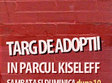 targul de adoptii in parcul kiseleff si parcul obor