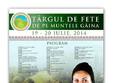 targul de fete de pe muntele gaina 2014