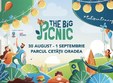 the big picnic