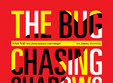 the bug chasing shadows atelierul de productie
