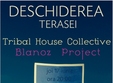tribal house collective blanoz in club raum cluj