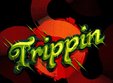 trippin cafe re opening 