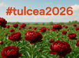  tulcea2026