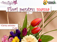 un atelier special pentru 8 martie flori pentru mama 