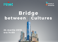visually speaking bridge between cultures